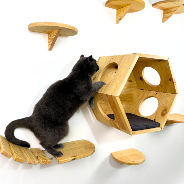 air de jeux pour chat