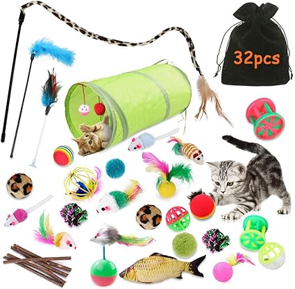 les accessoires pour l'arrivée du chaton et du chat sacré de Birmanie le lot de jouets pour chaton et chat