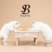 recette bonbon sacre de birmanie