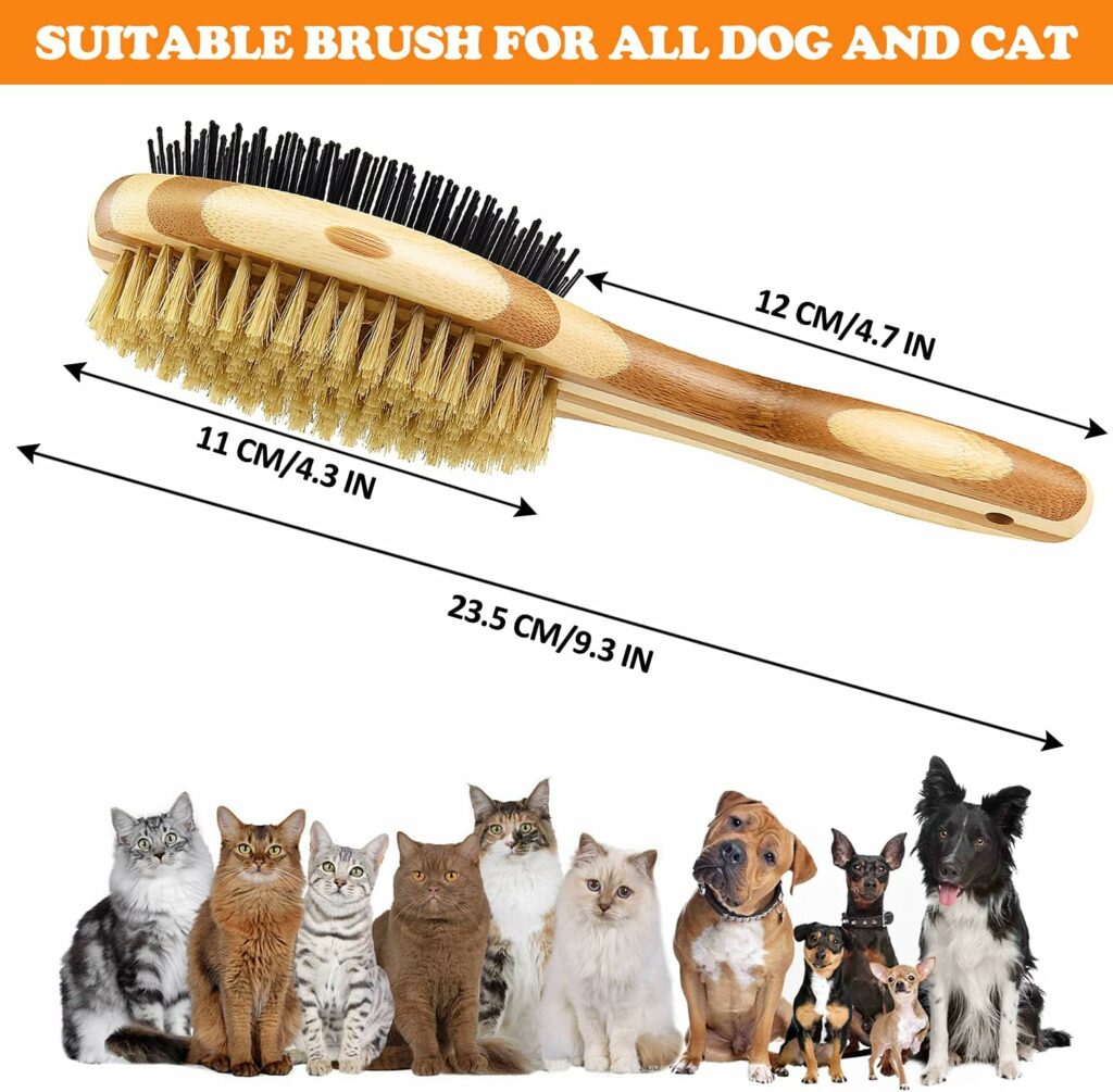 brosse chat