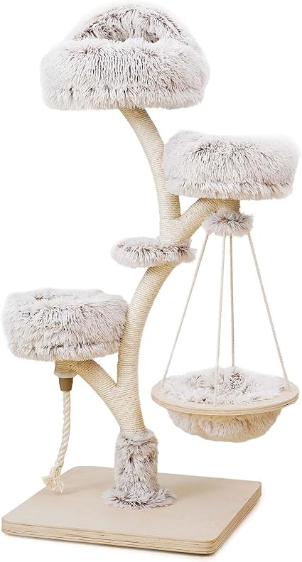 đŸ Les petits rituels dâautomne avec votre SacrĂ© de Birmanie đ 4 arbre chat douille