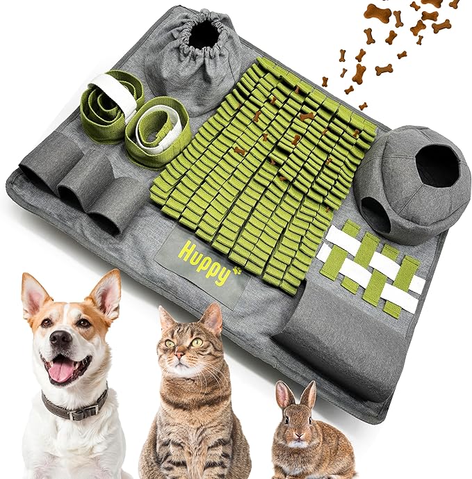 đŸ Les petits rituels dâautomne avec votre SacrĂ© de Birmanie đ 13 tapis fouille anti ennui chat 1
