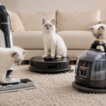 Poils de chat